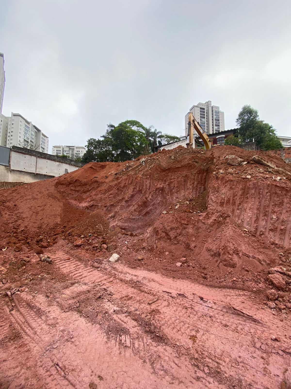 WhatsApp Image 2025-10-09 at 13.21.55 (3)